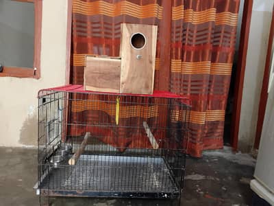 1 cage and 1 breeder box cage size 2/3 feat