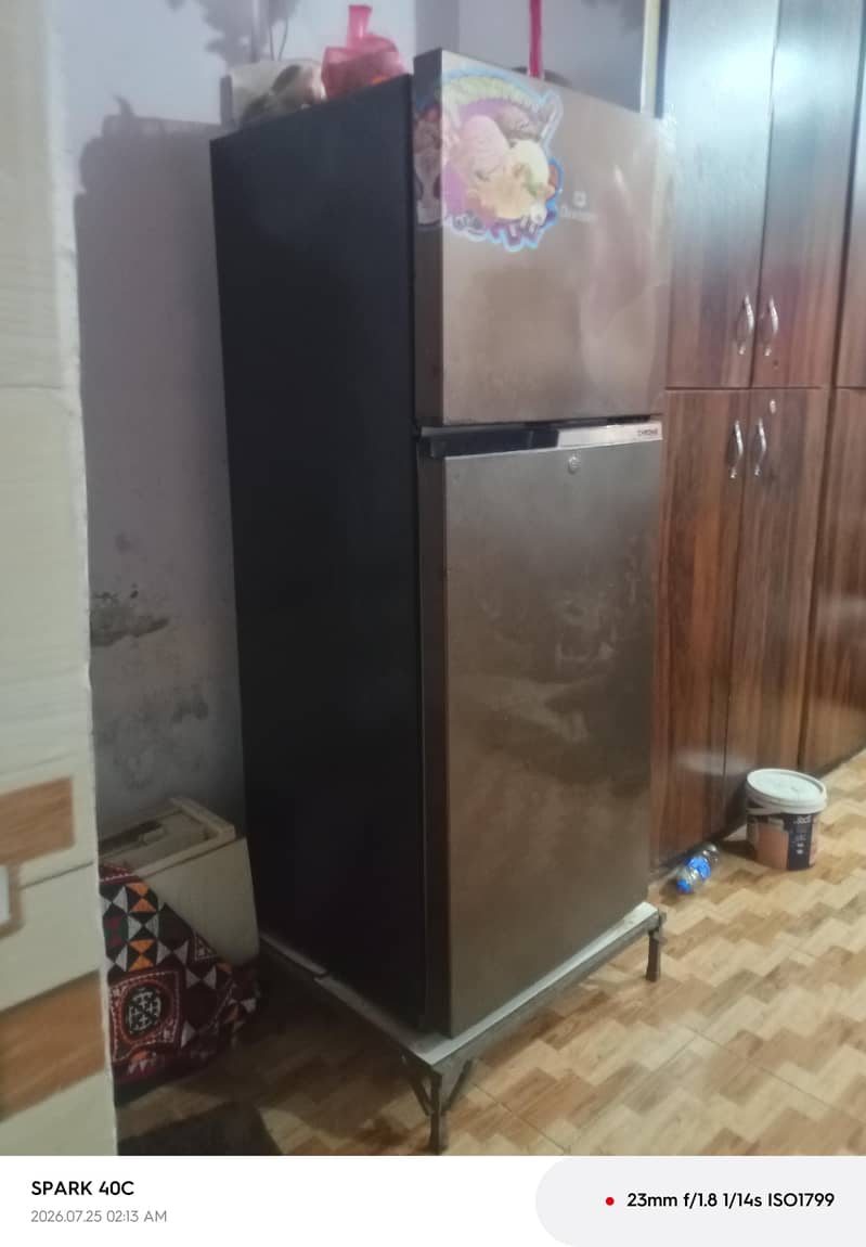 frige 1