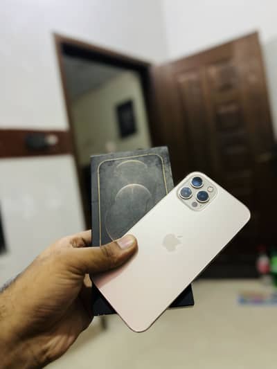 Apple iPhone 12 Pro Max PTA approved