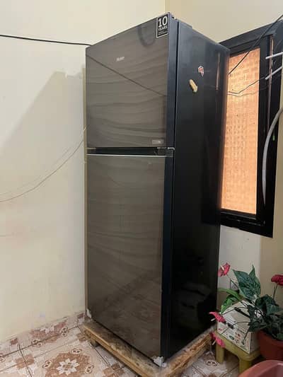 haier fridge jumbo size