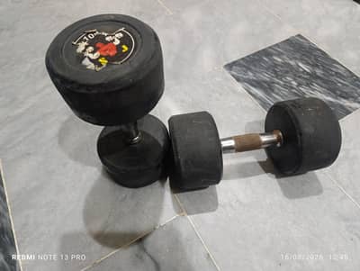 Gym Equipments