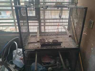 Raw and African parrot Cage