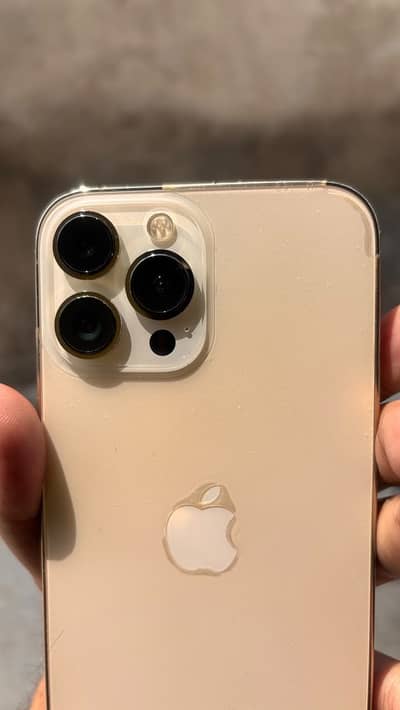 Apple iPhone 13 Pro Max 256GB Water Pack