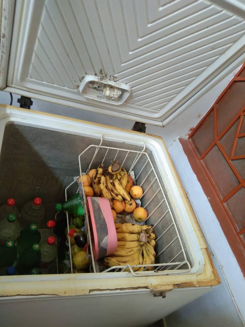 freezer 2