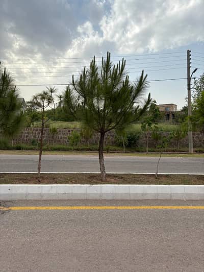 Premier Immediate Possession Plot 2,500 Square Yards In Sector C