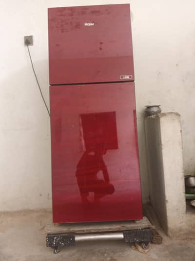 freezer