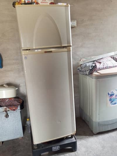 m size refrigerator for sel