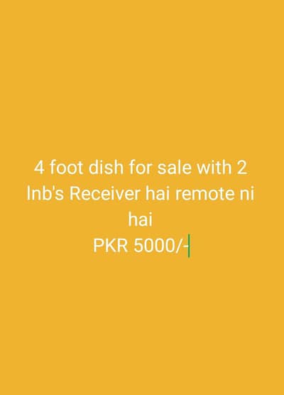 4 foot dish for sale