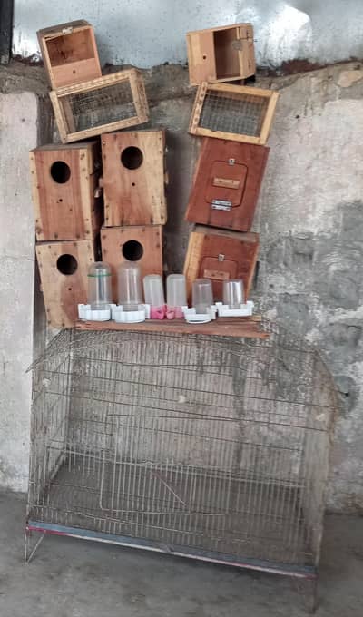 Bird Accesories are available