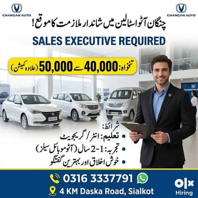 Sales Executive at Changan Auto Stallion