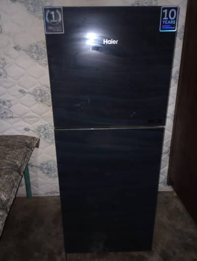 Haier HRF-246 E Star Series Glass door design 10 cubic