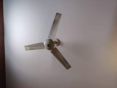 Ceiling Fans