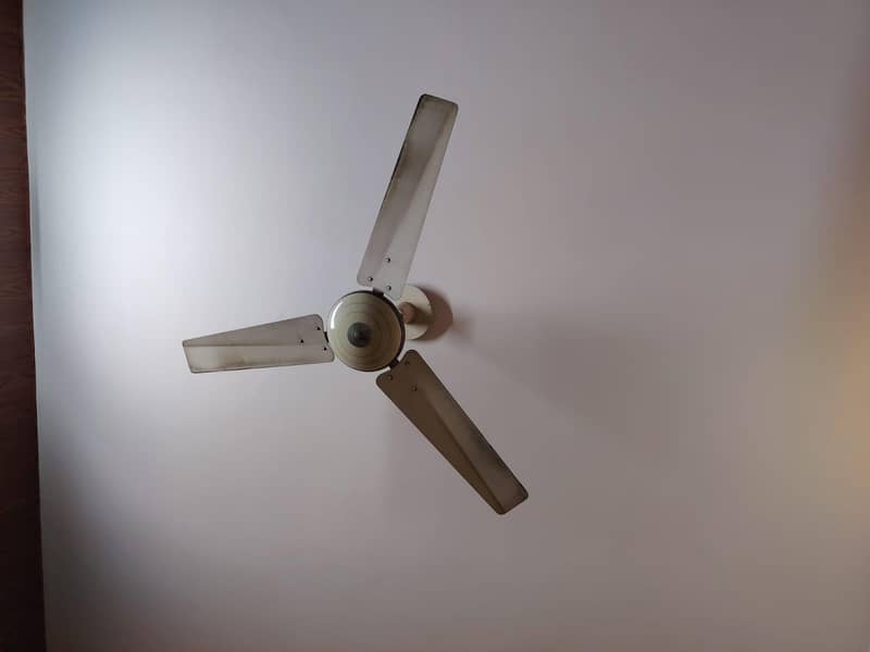 Ceiling Fans 0