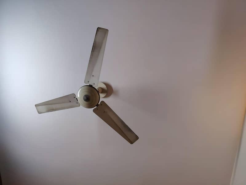 Ceiling Fans 1