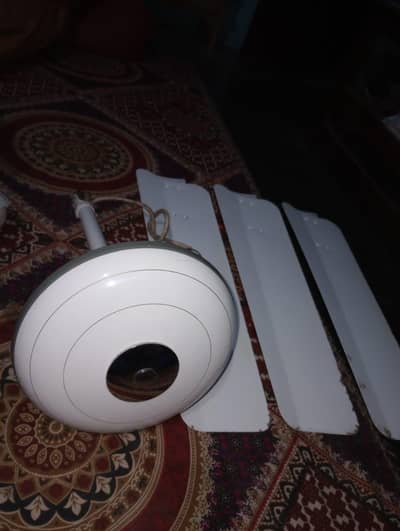 Royal Super Deluxe 220 new