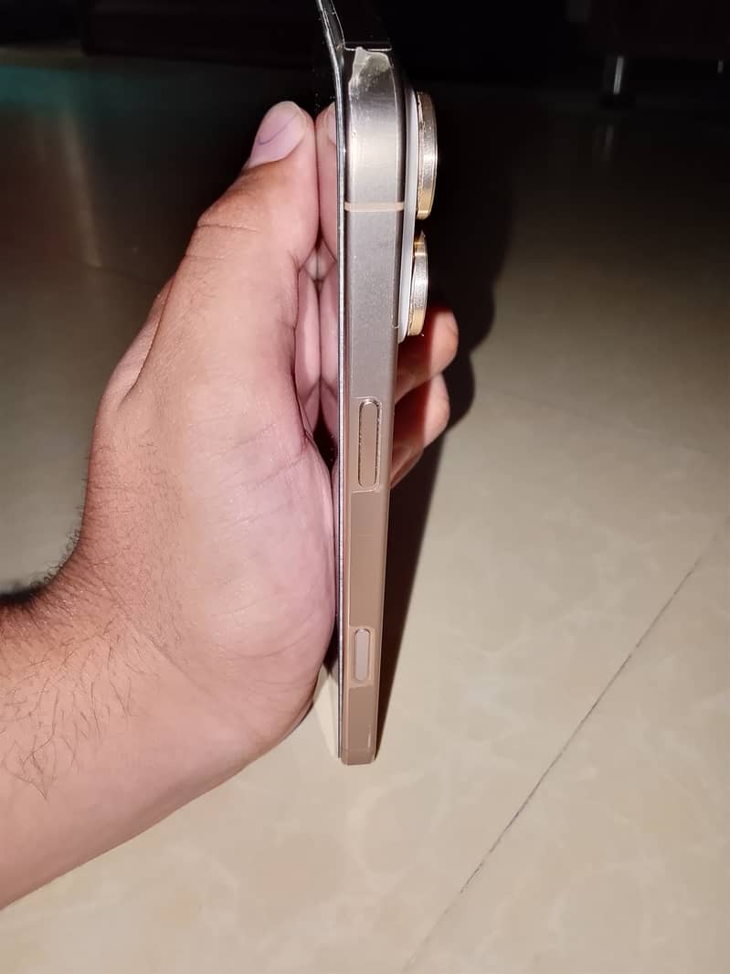 Apple iPhone 16 Pro Max 1