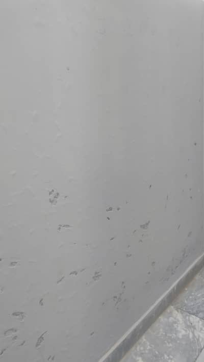 House Paint