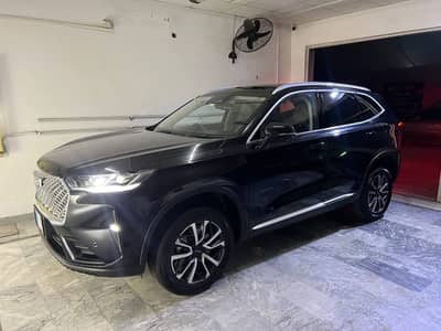 Haval