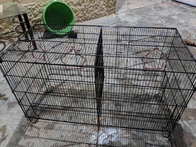 pinjra forsale good condiyion