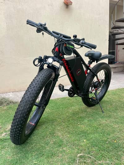 electric cycle for sell