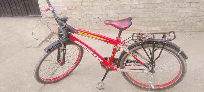 All ok bicycle 03256163703