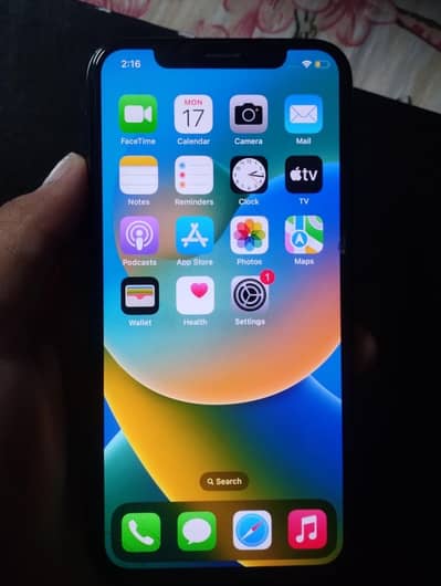 Apple iPhone X