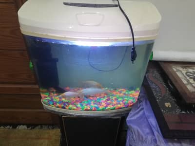 Imported Fish Aquarium 1.5×1.5