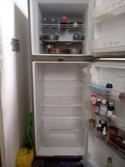 frige