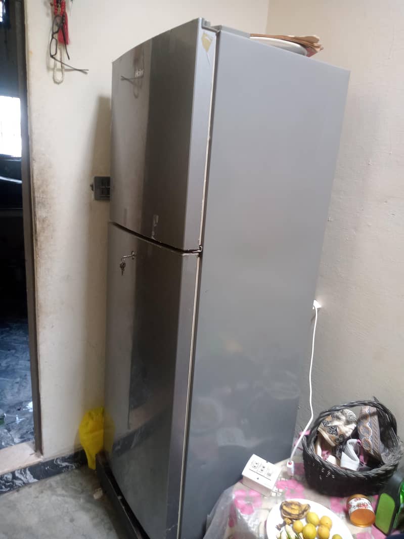 frige 1