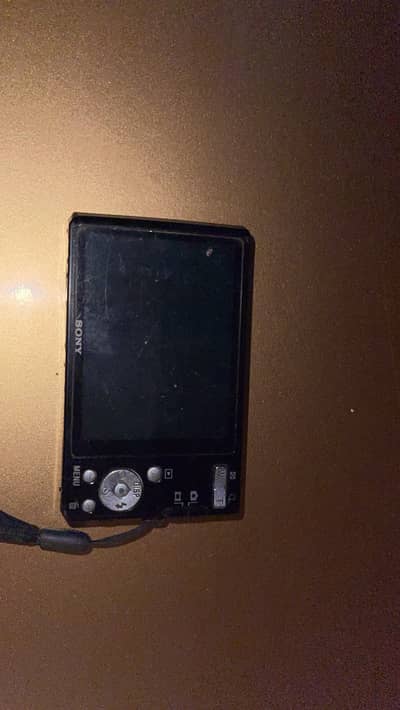 Sony Cyber-shot DSC-W530 14.1MP Digital Camera