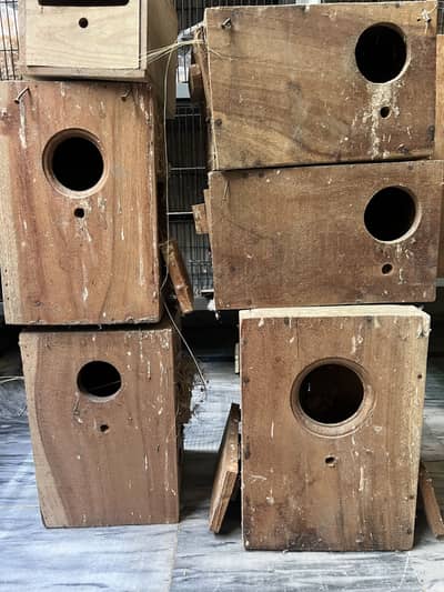 BReeding boxes