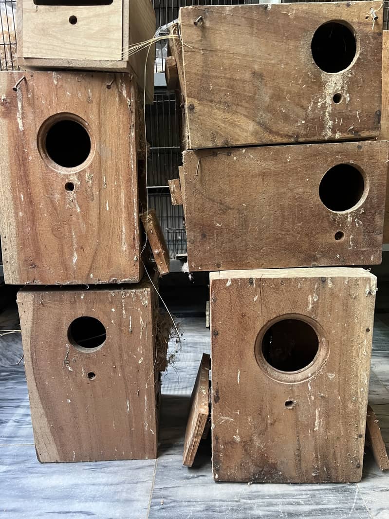 BReeding boxes 0