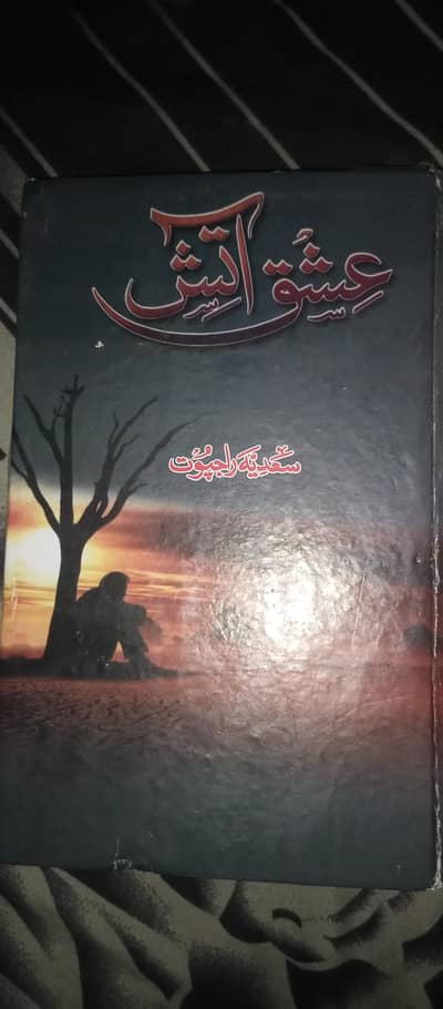 novel