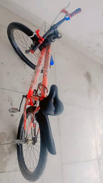 sports cycle