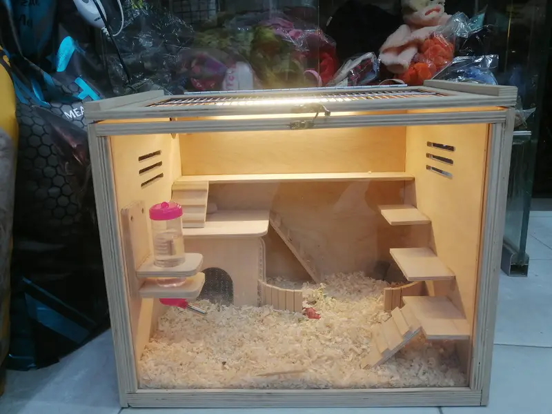 Hamster and hamster house available — photo 6