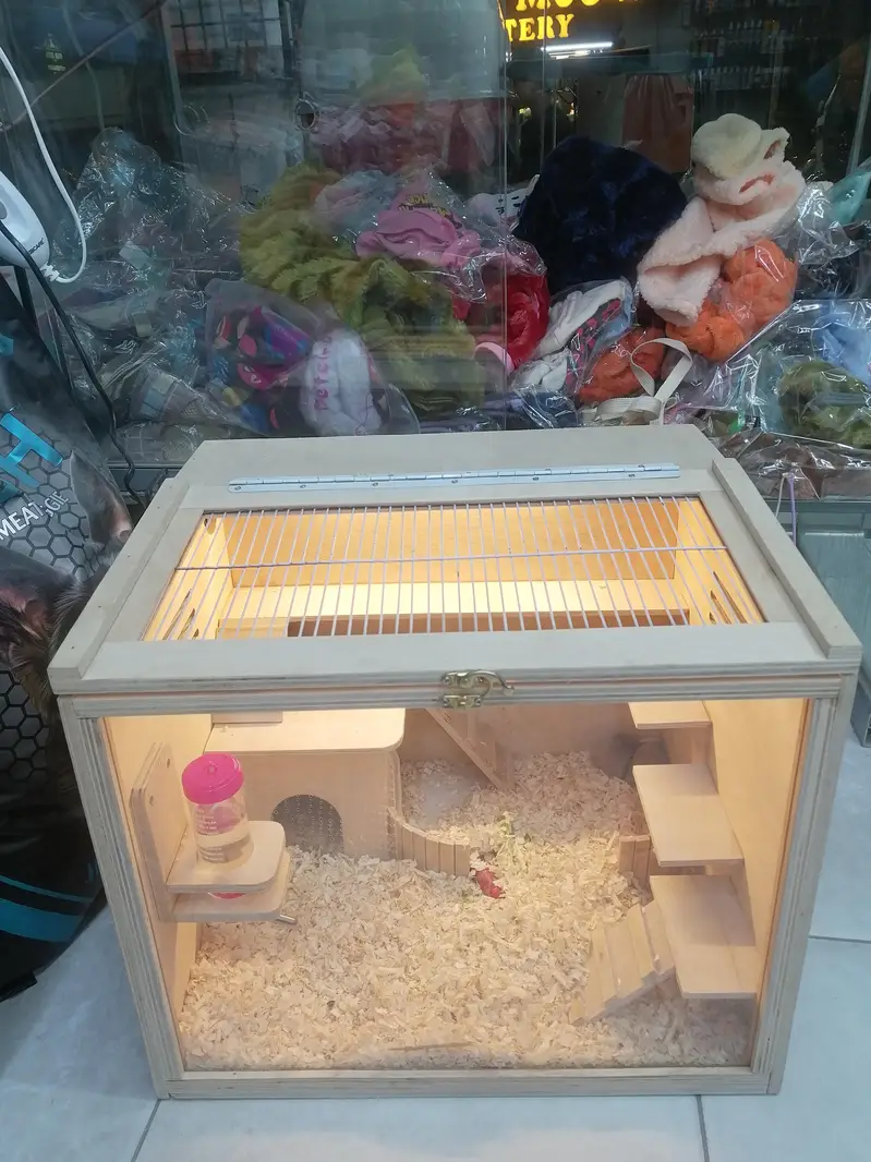 Hamster and hamster house available — photo 7