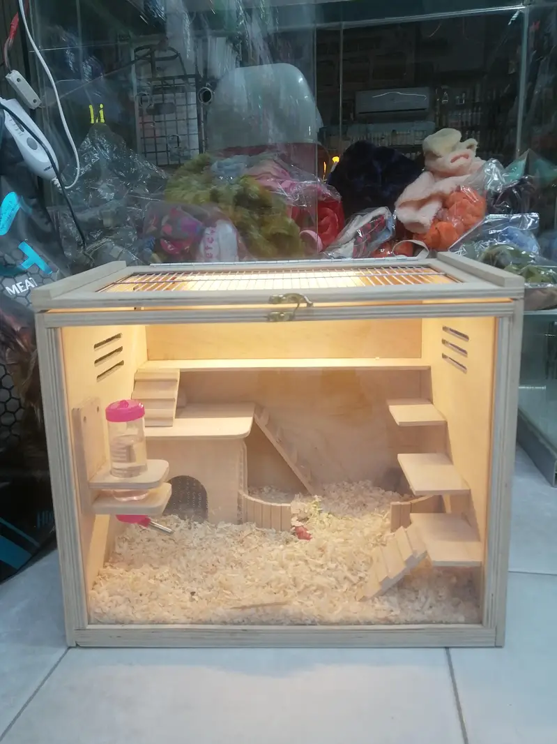 Hamster and hamster house available — photo 8