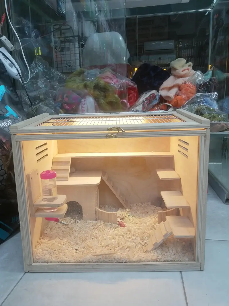 Hamster and hamster house available — photo 9