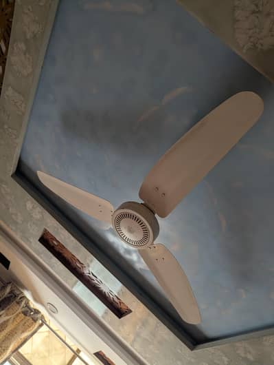 celling fans