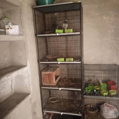 4 potion cage