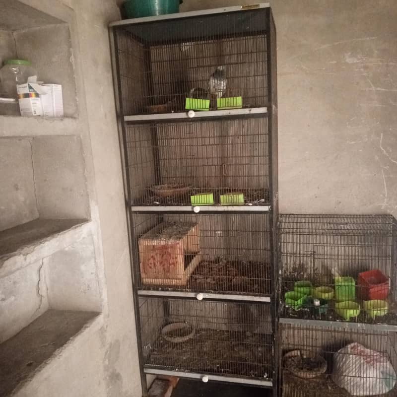 4 potion cage 0