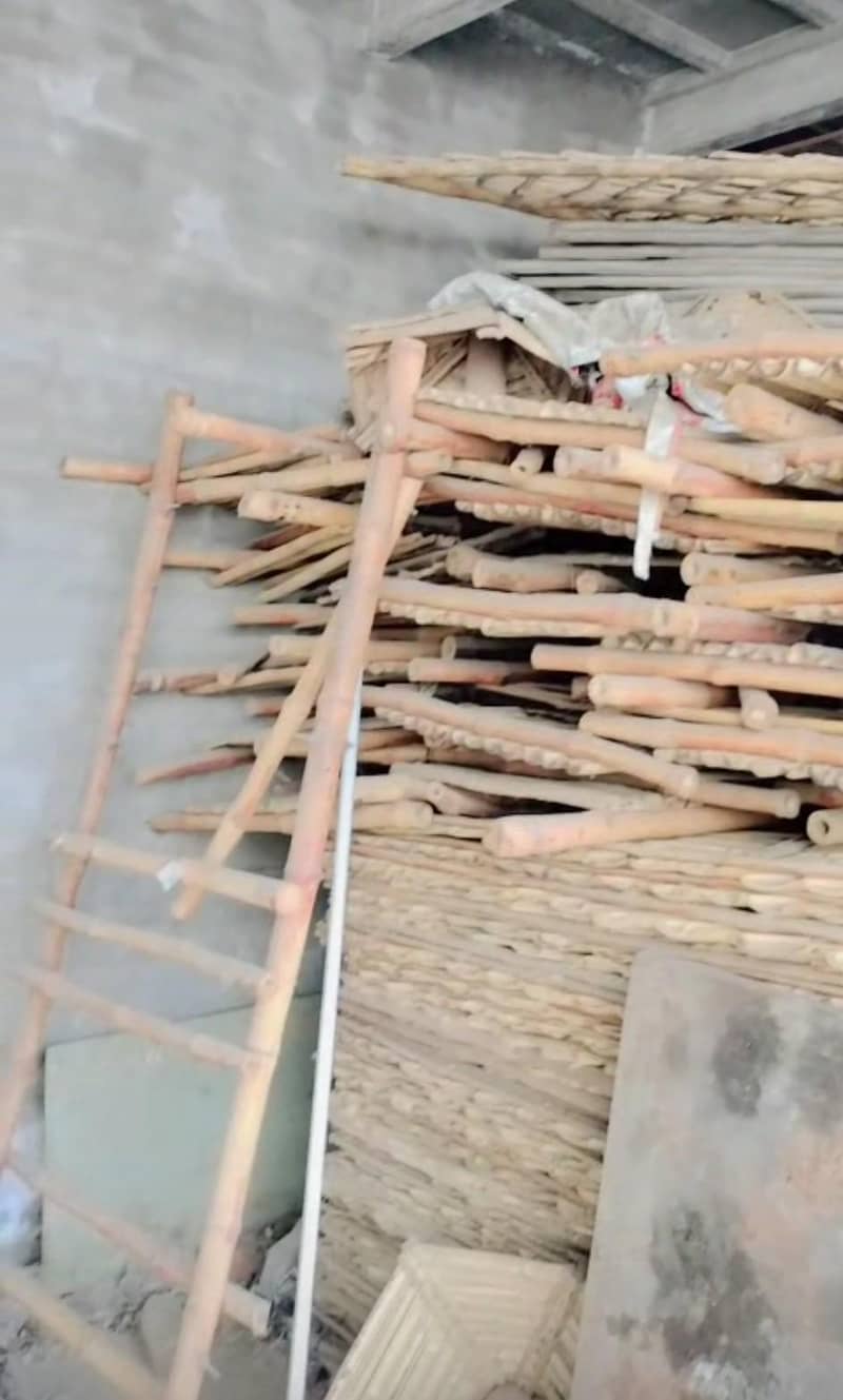 bamboo 5