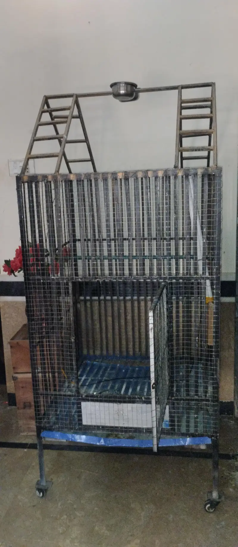 Big Strong Cage — photo 3