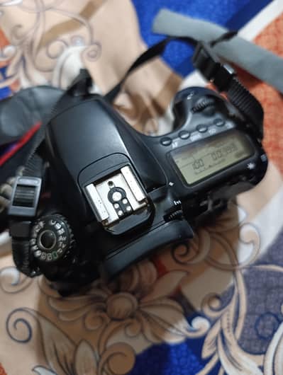 canon 60D