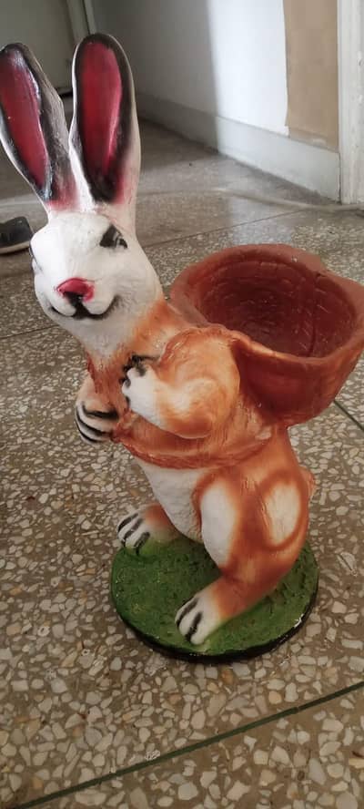 Rabbit for sale
