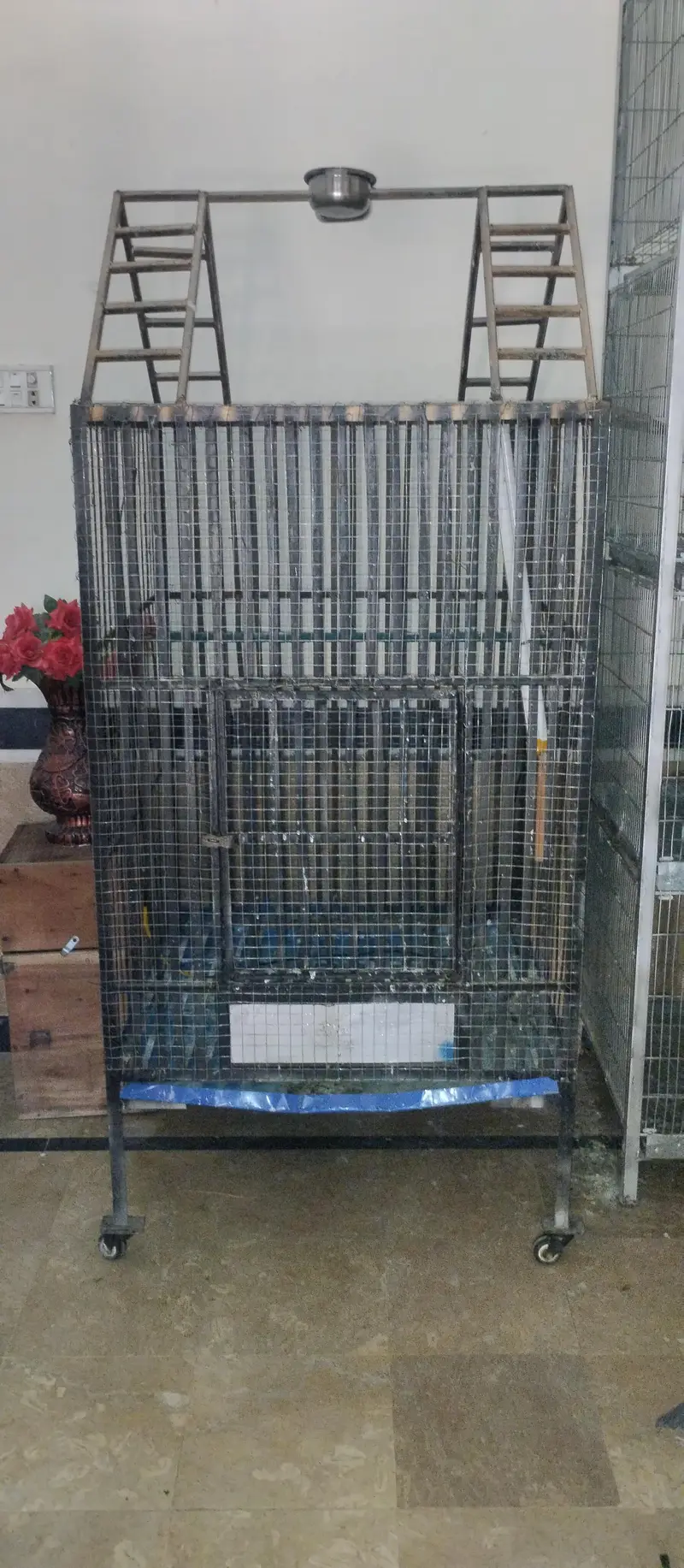 Cage Strong Cage