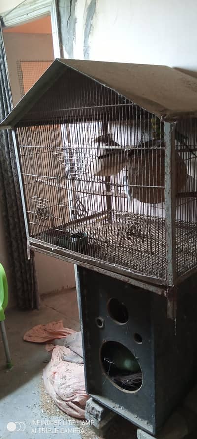 portion cage