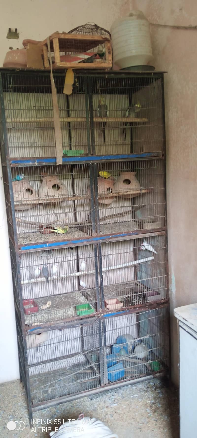 portion cage 1