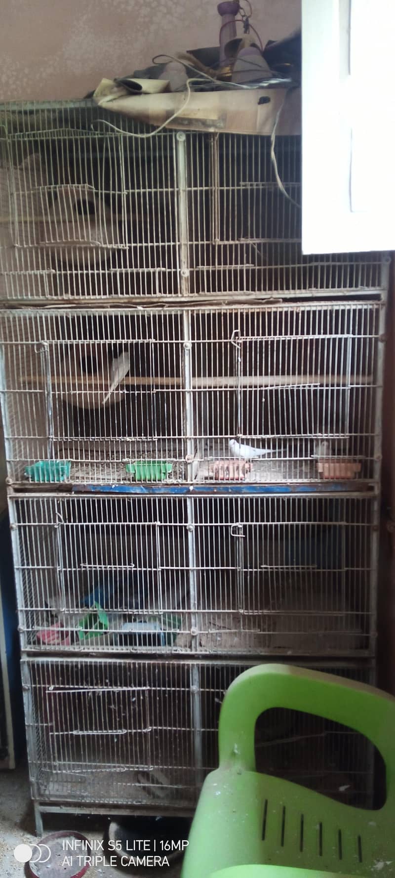 portion cage 2