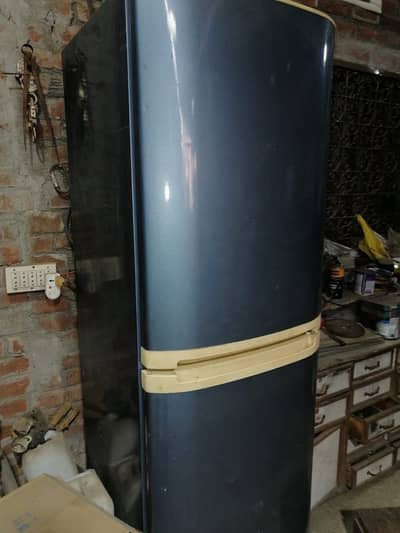 vintage, upright double-door Freezer